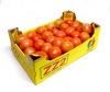 Tomatoes box